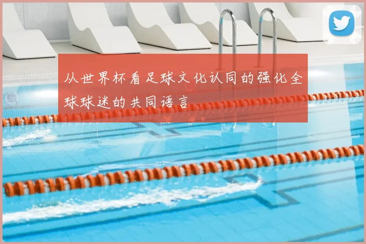 从世界杯看足球文化认同的强化全球球迷的共同语言